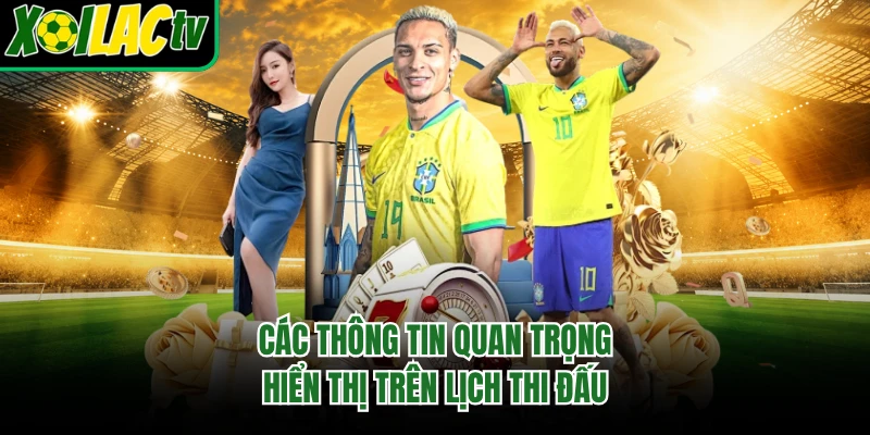 Các thông tin quan trọng hiển thị trên lịch thi đấu