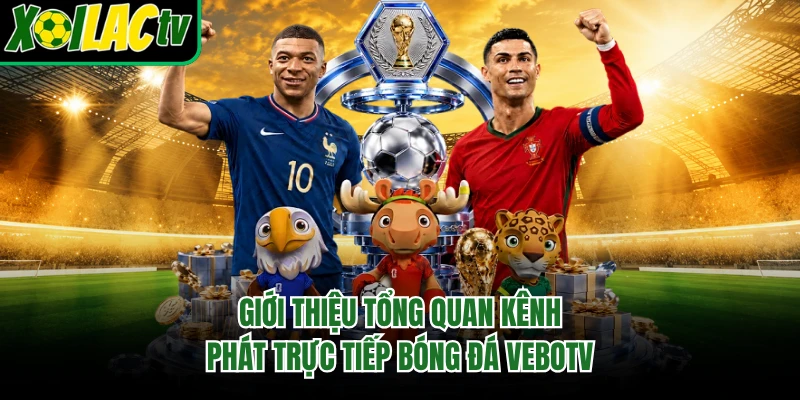 Giới thiệu tổng quan kênh phát trực tiếp bóng đá Vebotv